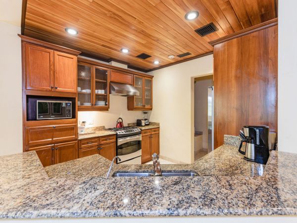 Tamarindo Condo 964874