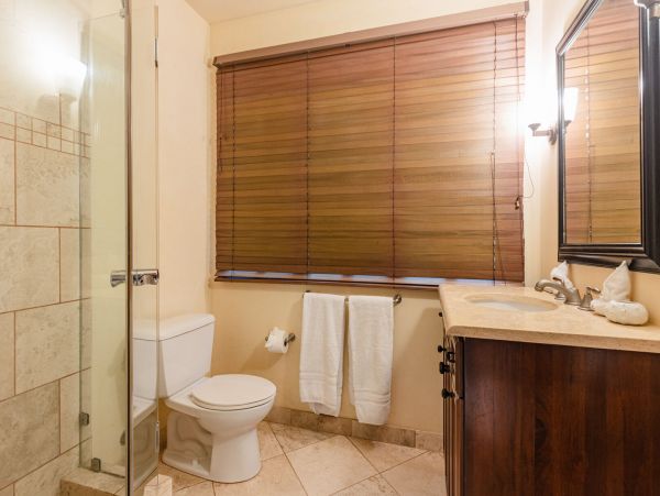 Tamarindo Condo 964874