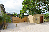 Tamarindo Home 964876