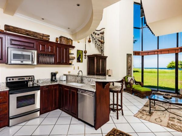 Tamarindo Condo 964879