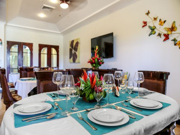 Tamarindo Home 964886