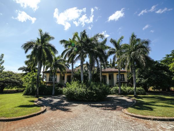 Tamarindo Home 964886