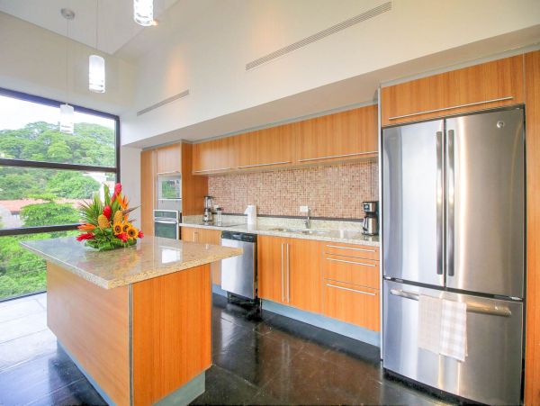 Tamarindo Condo 964887