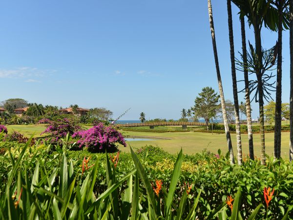 Jaco Condo 964996