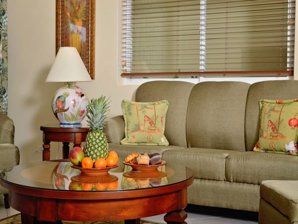 Luxury Interior Walk Out Vacation Condo Jaco