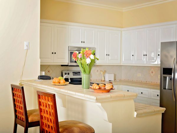 Luxury Interior Walk Out Vacation Condo Jaco