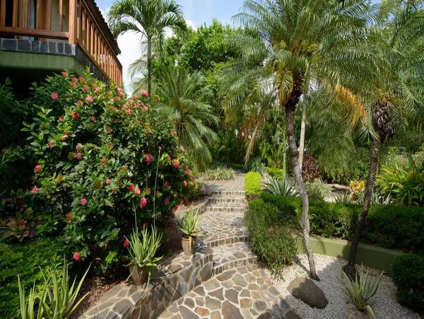 Tamarindo Home 965014
