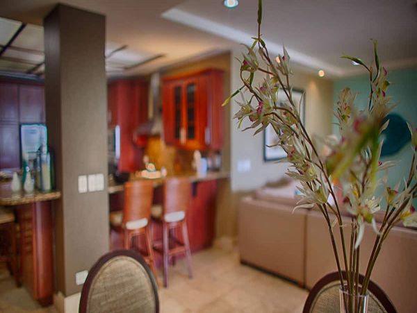 Tamarindo Condo 965018