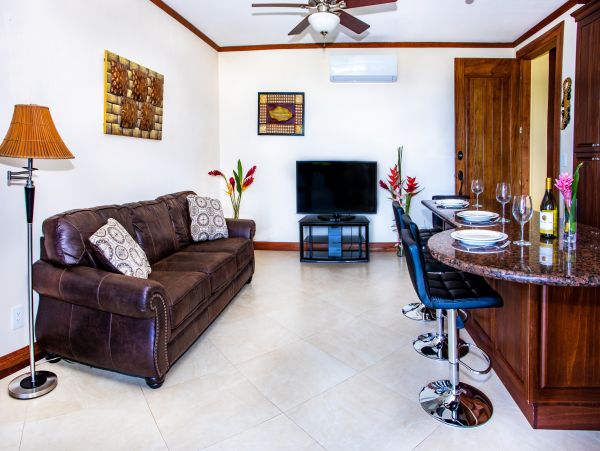 Magnificent Views of The Ocean 1 Bedroom