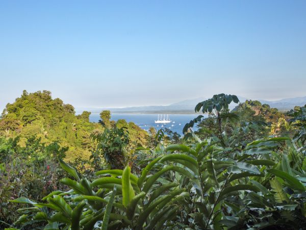 Magnificent Views of The Ocean 1 Bedroom