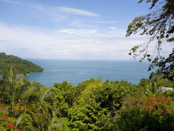 Manuel Antonio Quepos Condo 965027
