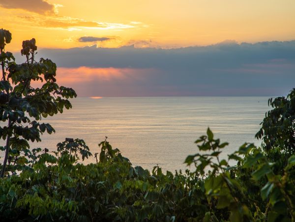 Manuel Antonio Quepos Condo 965029