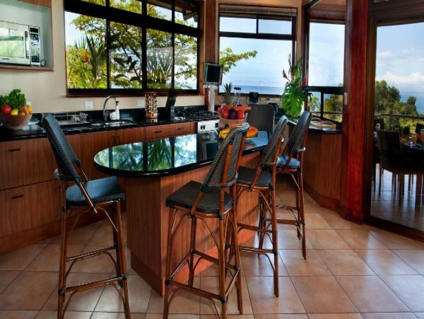 Manuel Antonio Quepos Condo 965032
