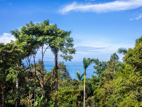 Manuel Antonio Quepos Home 965034