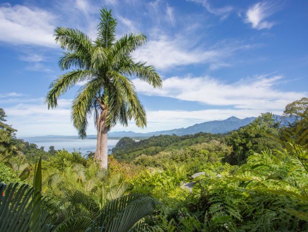 Manuel Antonio Quepos Home 965036