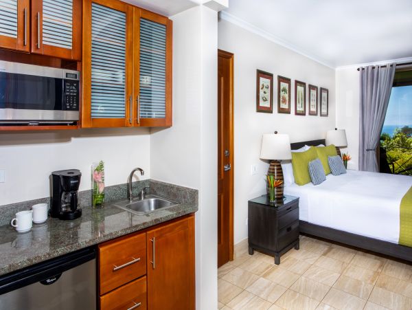 Manuel Antonio Quepos Condo 965049