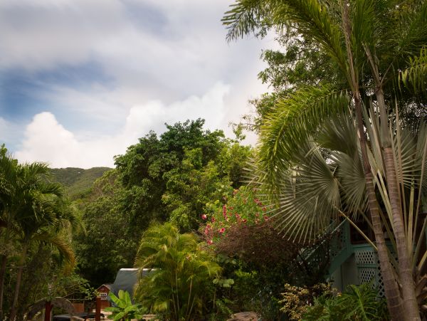 St. John Home 965067