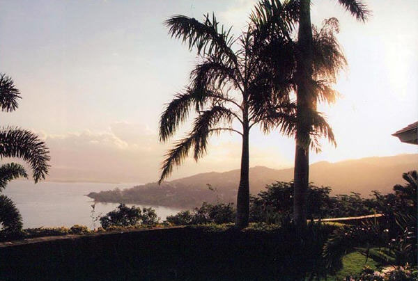 Jamaica Home 965115