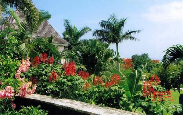 Jamaica Home 965115