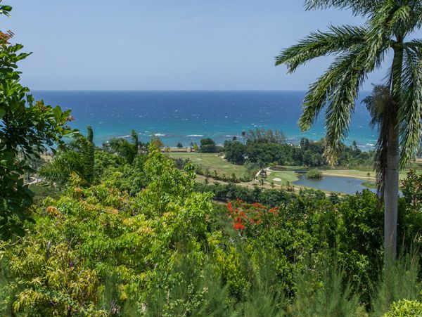 Jamaica Home 965128