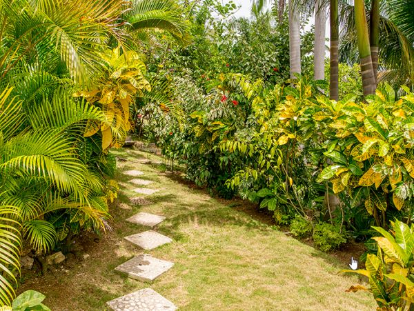 Jamaica Home 965145
