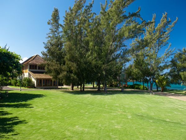 Jamaica Home 965150