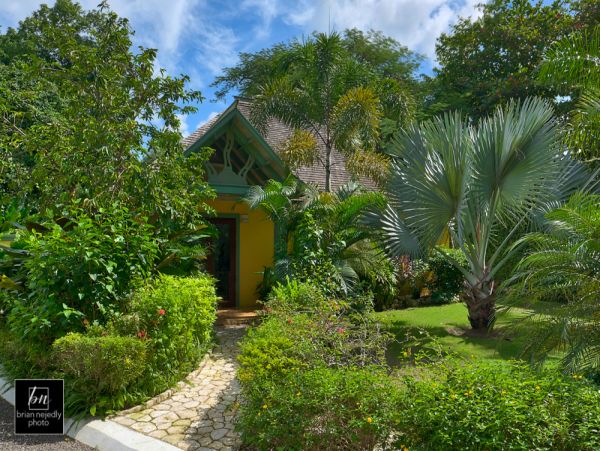 Jamaica Home 965172