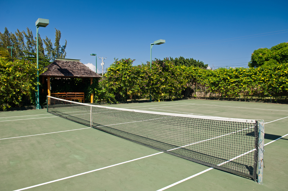 Jamaica Home 965175