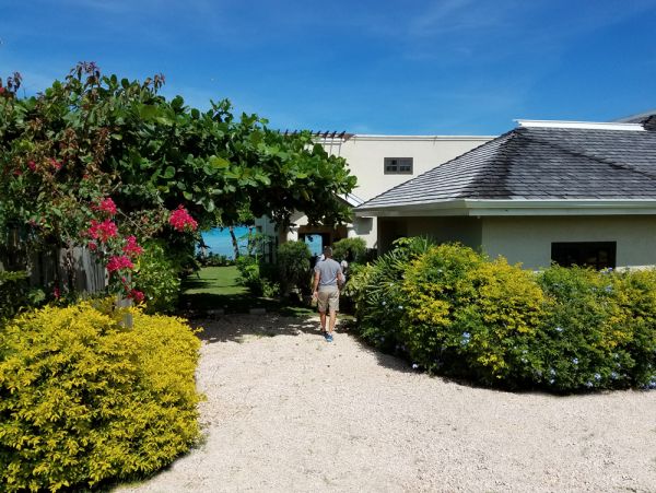 Jamaica Home 965183