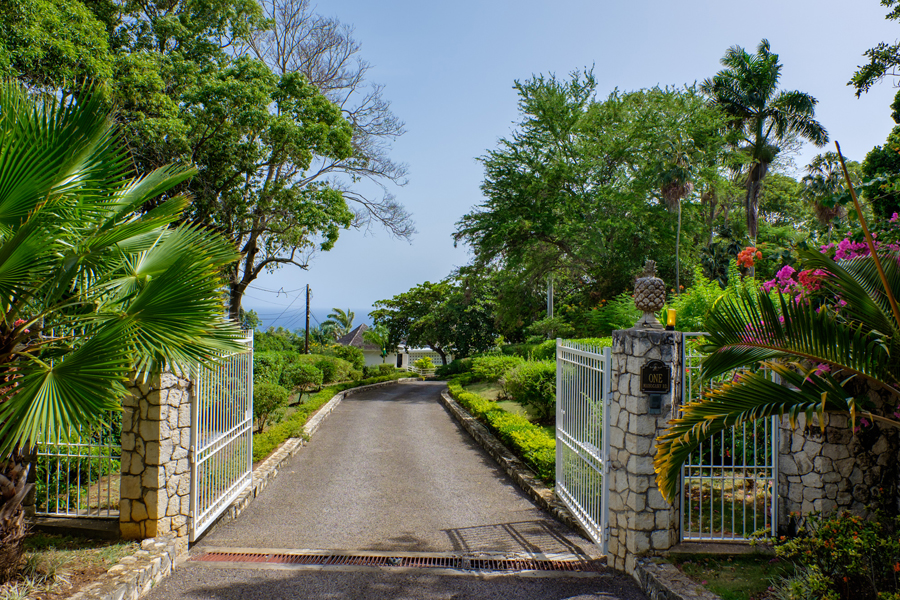 Jamaica Home 965194