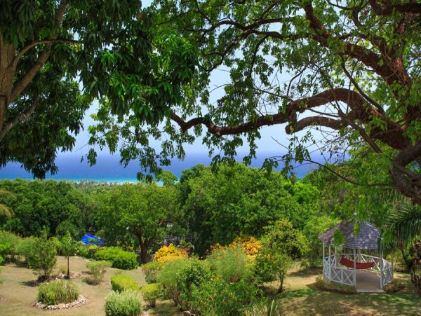 Jamaica Home 965194