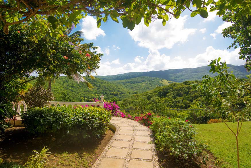 Jamaica Home 965196