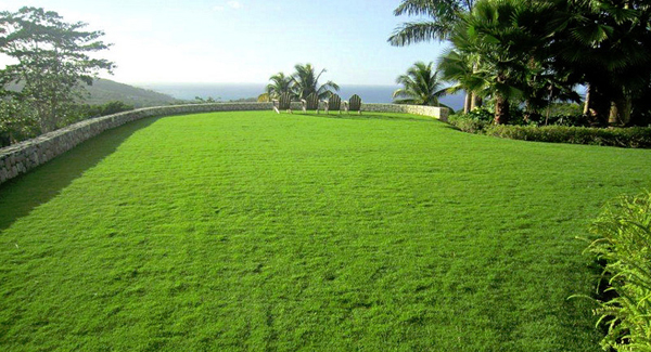 Jamaica Home 965201