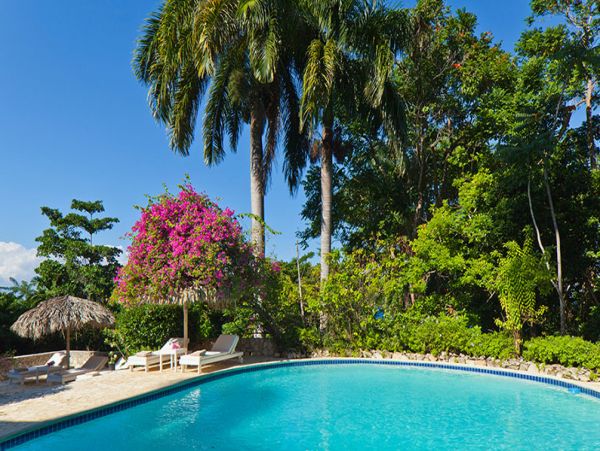 Jamaica Home 965228