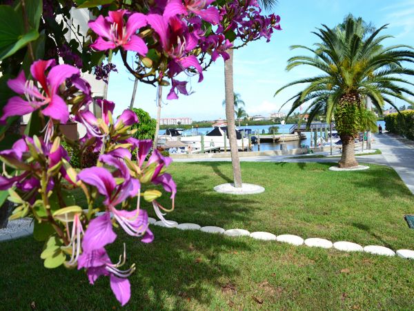 Siesta Key Condo 965249