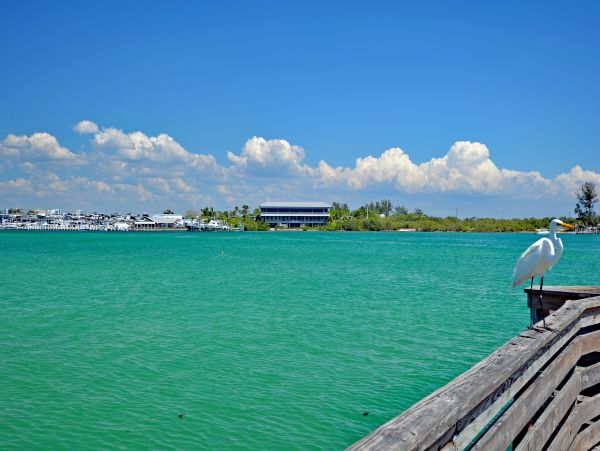 Siesta Key Condo 965250