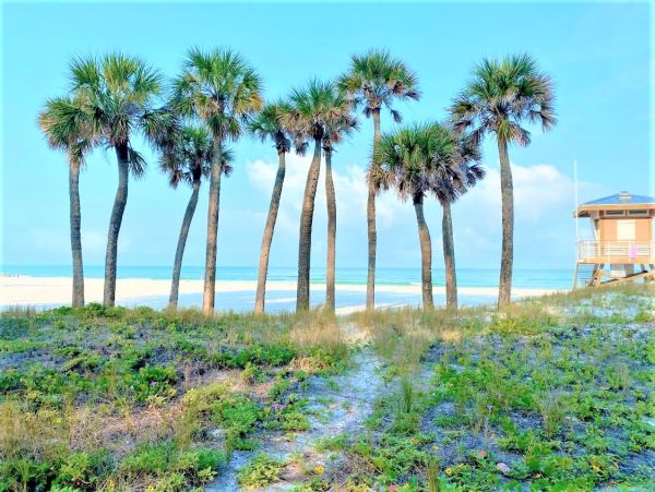 Anna Maria Island Holmes Beach Condo 965284