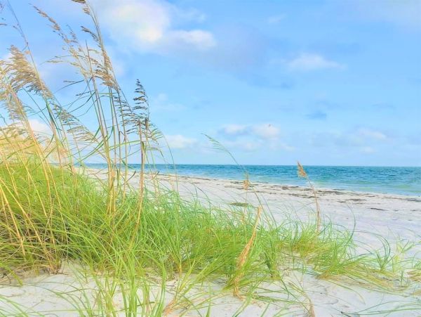 Anna Maria Island Holmes Beach Condo 965284