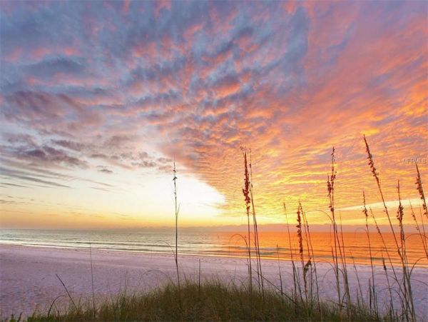 Siesta Key Condo 965304