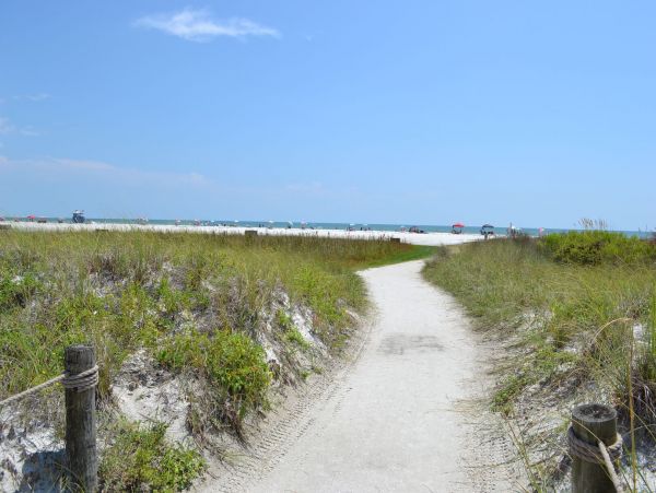 Siesta Key Condo 965308