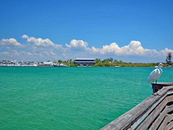 Siesta Key Vacation Duplex Two Bedroom Walk to Beach