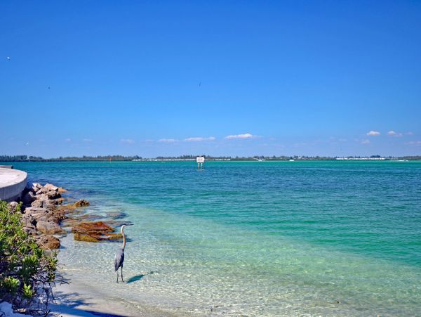 Bradenton Beach Vacation Condo With Communal Pool 5 Guests