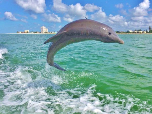 Anna Maria Island Holmes Beach Home 965327