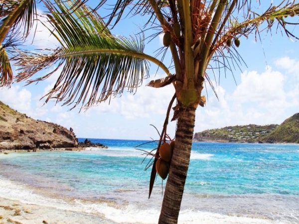 St. Barts Home 965386