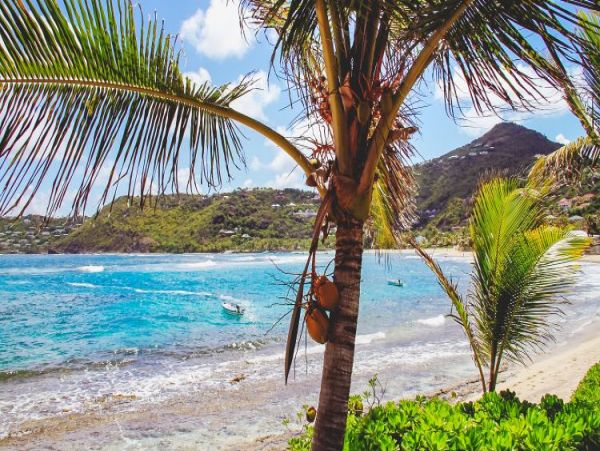 St. Barts Home 965386