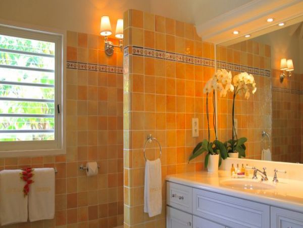 St. Barts Home 965395
