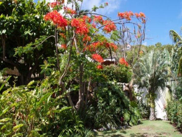 St. Barts Home 965395