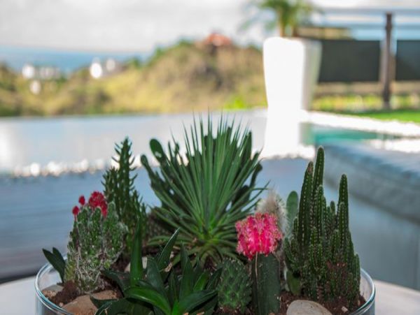 St. Barts Home 965418