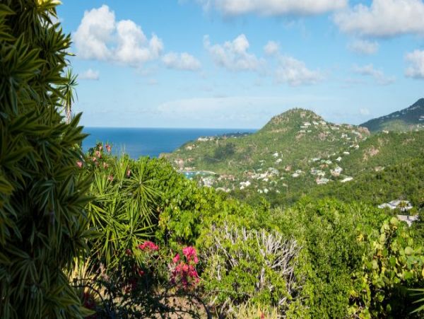 St. Barts Home 965423