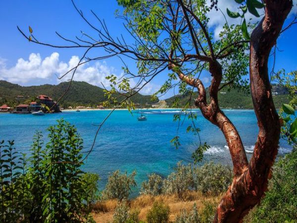 St. Barts Home 965458